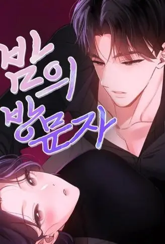 深夜里的访客 WB版