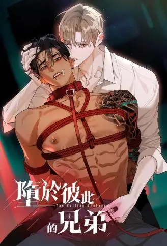 堕于彼此的兄弟 WB版
