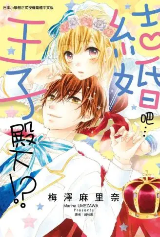 结婚吧…王子殿下!? WB版