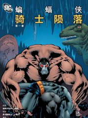蝙蝠侠:骑士陨落