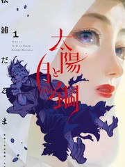 太阳与月之钢漫画