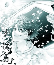星落昴宿