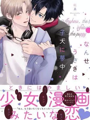 兔子醉心小狗无法自拔