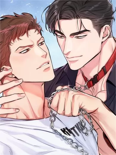 狗与飞鸟在喵趣漫画叫什么漫画