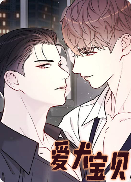 爱犬宝贝