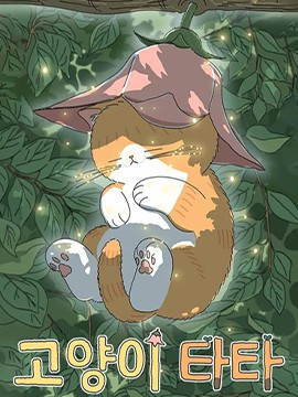 小貓塔塔